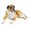 Mechaly 6 Pack Solid Polyester Dog Neckerchief Triangle Bibs - Extra Large